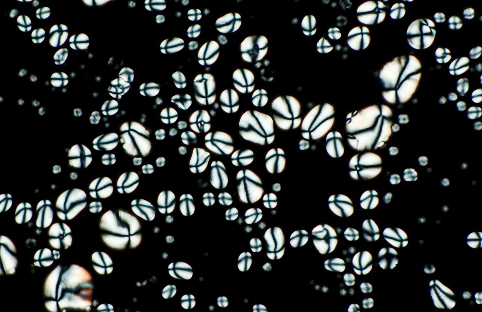 Модификация картофельного крахмала